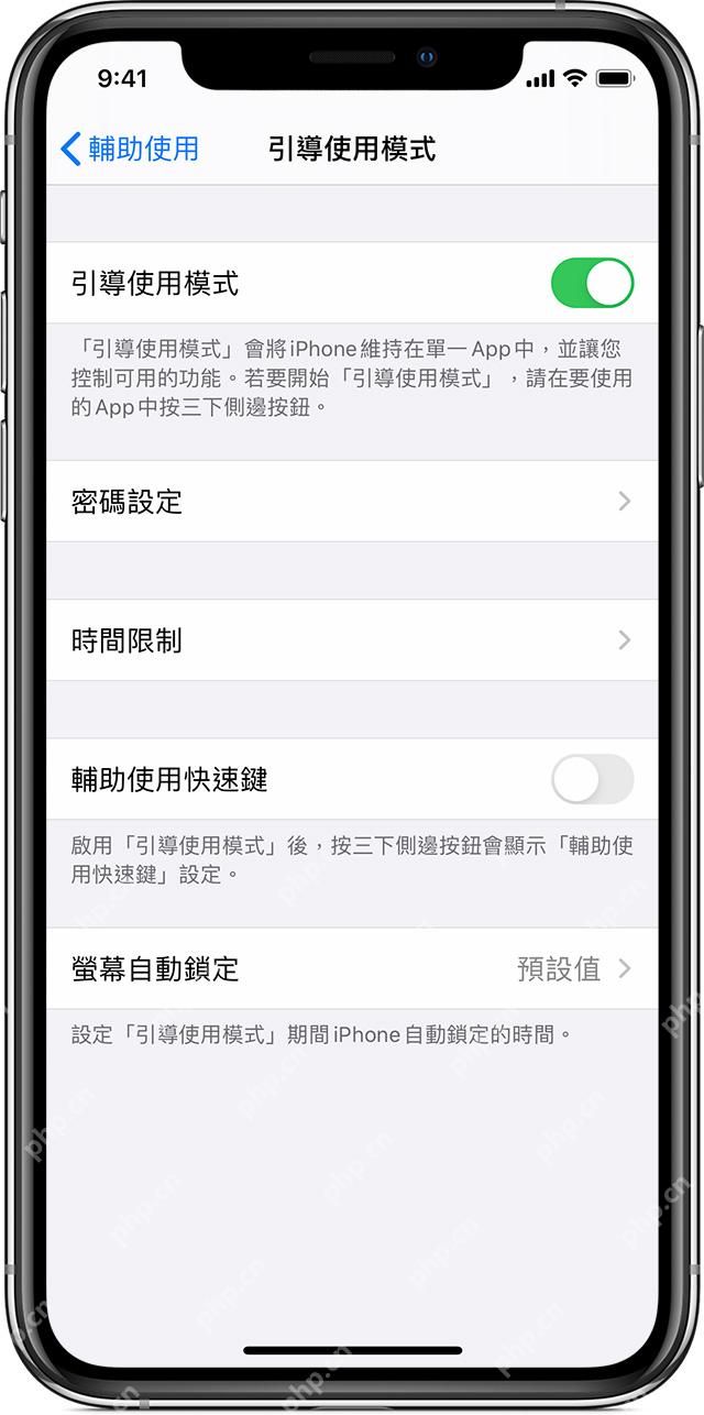 iPhone 引导式访问页面开启总开关