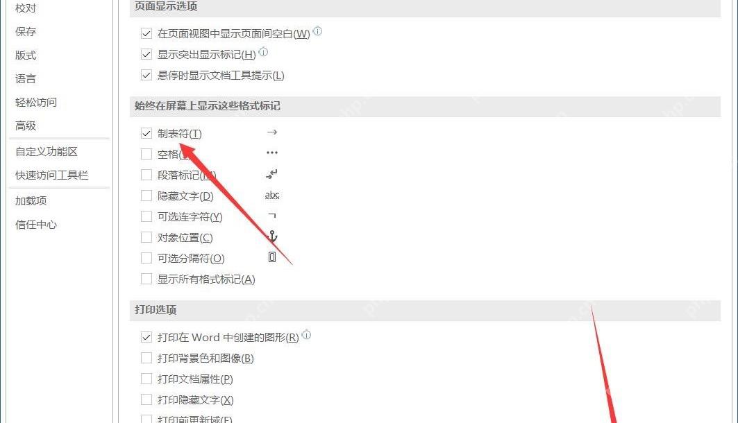Word 选项显示页面勾选制表符用于检查目录中手敲点线