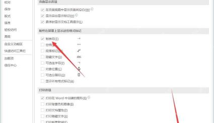 Word 选项显示页面勾选制表符用于检查目录中手敲点线