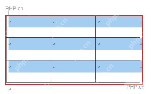 Word 表格中已选中的表格行,用于调整行高