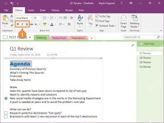 OneNote 字体区域中的高亮、加粗和字体颜色按钮,用来区分文字效果
