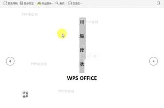 在文档阅读版式中如何突出显示?设置效果