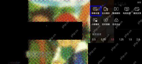 B站更多面板中的弹幕设置入口