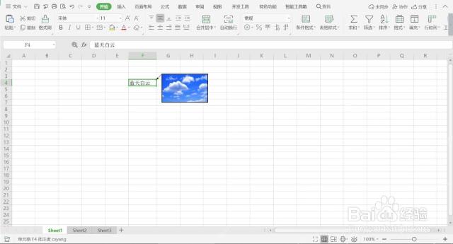 Excel表格界面中录入数据并插入图片对象用于办公表格处理