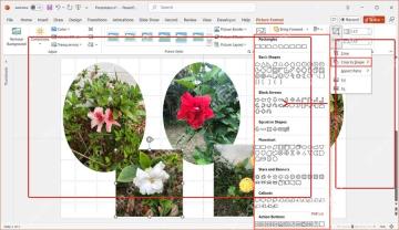 PowerPoint 图片格式中通过裁剪为形状制作图片拼图