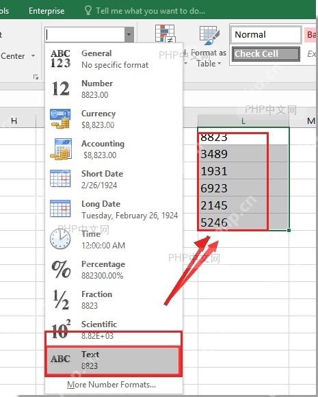 Excel 开始选项卡数字格式下拉框中选择文本