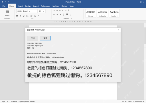 模拟 Word Windows 完整窗口:解压后打开真正的字体文件