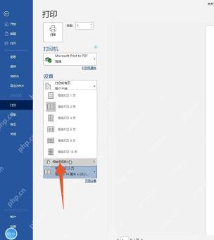 Word 打印界面检查每版打印页数