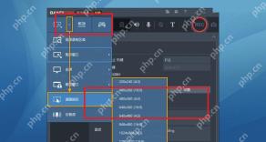 Bandicam Windows 录制设置红框标出鼠标设置用于复查隐藏光标