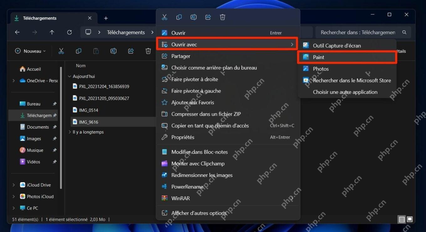 Windows 11 文件右键菜单中选择使用 Paint 打开图片