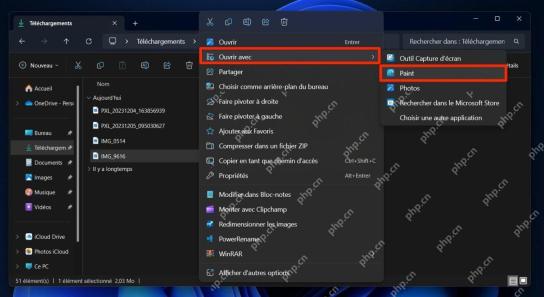 Windows 11 文件右键菜单中选择使用 Paint 打开图片