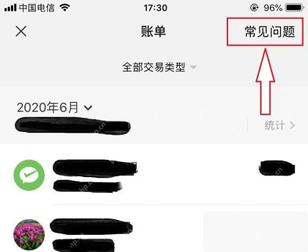微信账单页面右上角常见问题入口