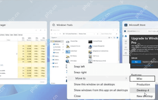 win11虚拟桌面怎么用_win11虚拟桌面使用教程 - php中文网