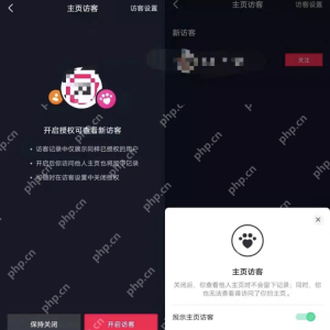 抖音访客记录怎么查 - 抖音主页访客记录查看与权限说明步骤3