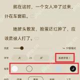 番茄小说阅读设置图,亮度、护眼模式和字号设置完整可见