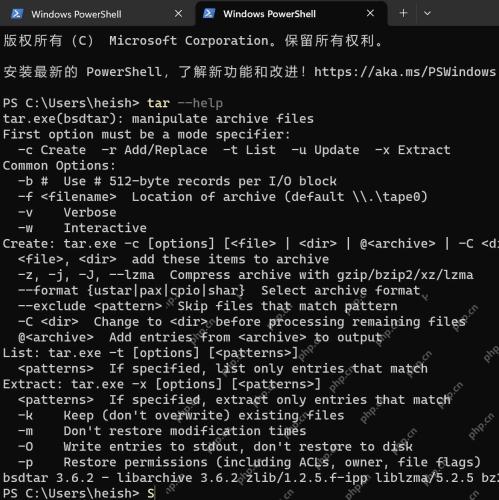 Windows PowerShell 运行 tar --help 查看 bsdtar 提取选项