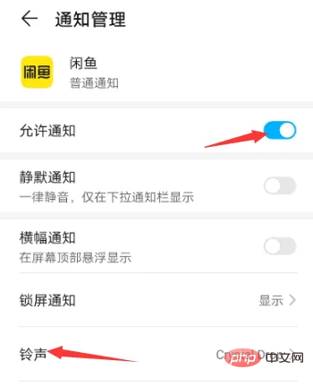 What should I do if there is no sound reminder for Xianyu messages?