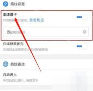 高德地图路线设置页里的车牌限行开关和车牌字段