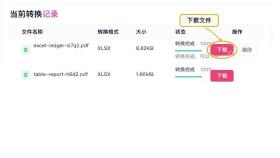 PDF转Excel下载Excel并检查