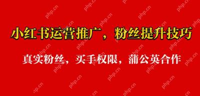 小红书千粉变现多少钱 粉丝价值与收入计算【揭秘】 - php中文网