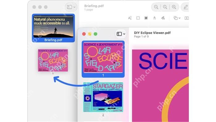macOS 预览 App 将页面缩略图拖入另一份PDF