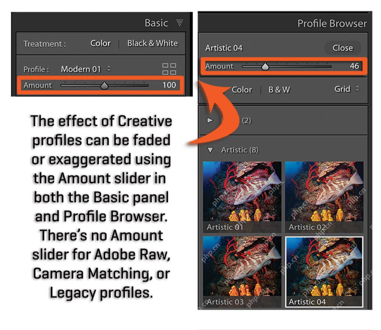Lightroom Classic Windows 版英文创意配置文件数量滑块示例,Artistic 04 强度为46