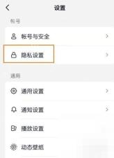 抖音设置页面中的隐私设置入口