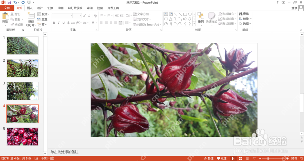 PPT批量导入后自动生成一页一张图片