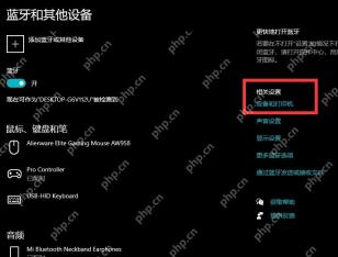 Windows 10 蓝牙和其他设备页面显示 Pro Controller 已配对