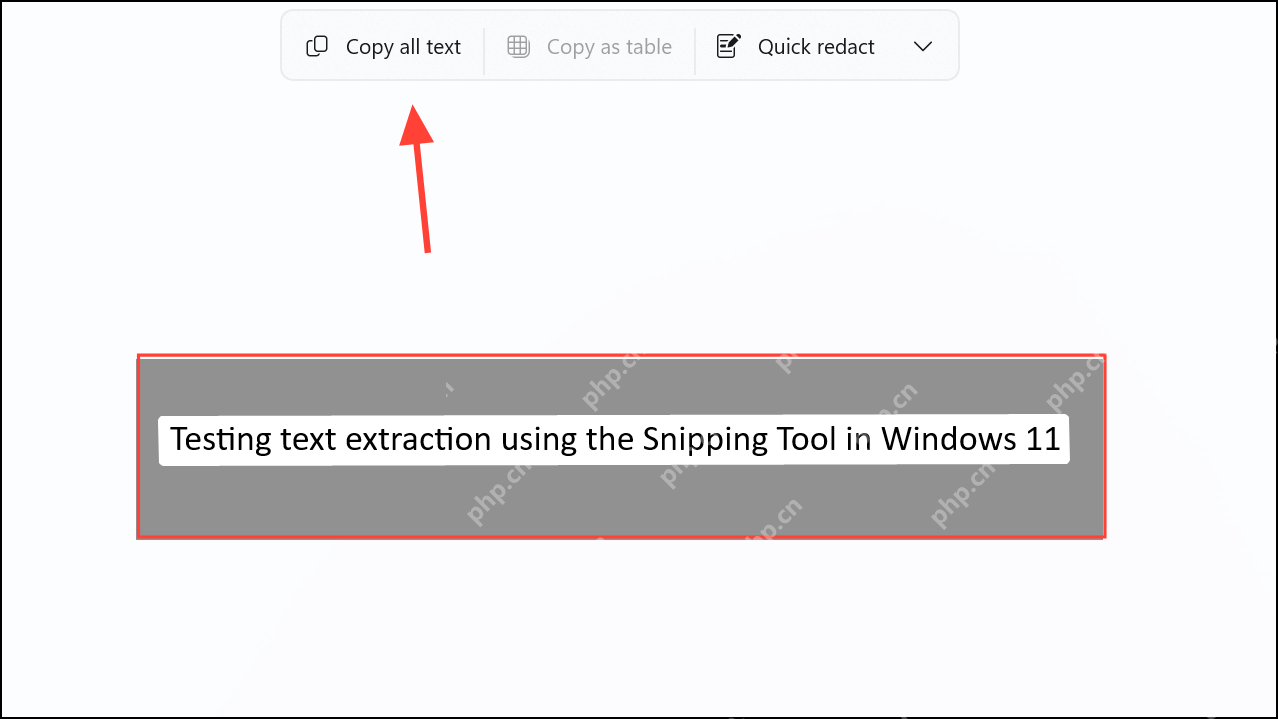 Windows 11 截图工具文本操作中显示 Copy all text 按钮