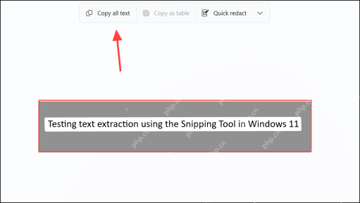 Windows 11 截图工具文本操作中显示 Copy all text 按钮