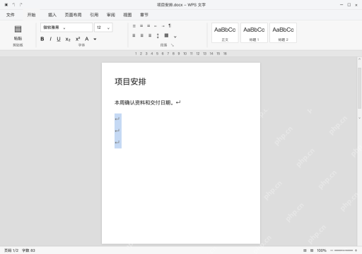 模拟 WPS 文字完整界面：只删除确认多余的空段落