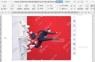 如何锁定文档图片纵横比?结果检查