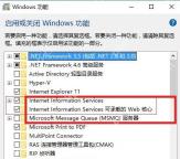 Win11 Windows 功能中展开 Internet Information Services IIS 节点