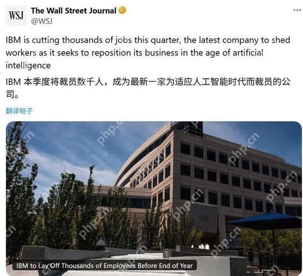 AI抢饭碗:IBM宣布全球裁员,预计影响约2700人 - php中文网