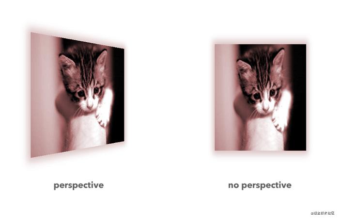 A brief discussion on the similarities and differences between the css perspective attribute and the perspective() function