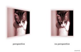 1625021573530725.gif A brief discussion on the similarities and differences between the css perspective attribute and the perspective() function