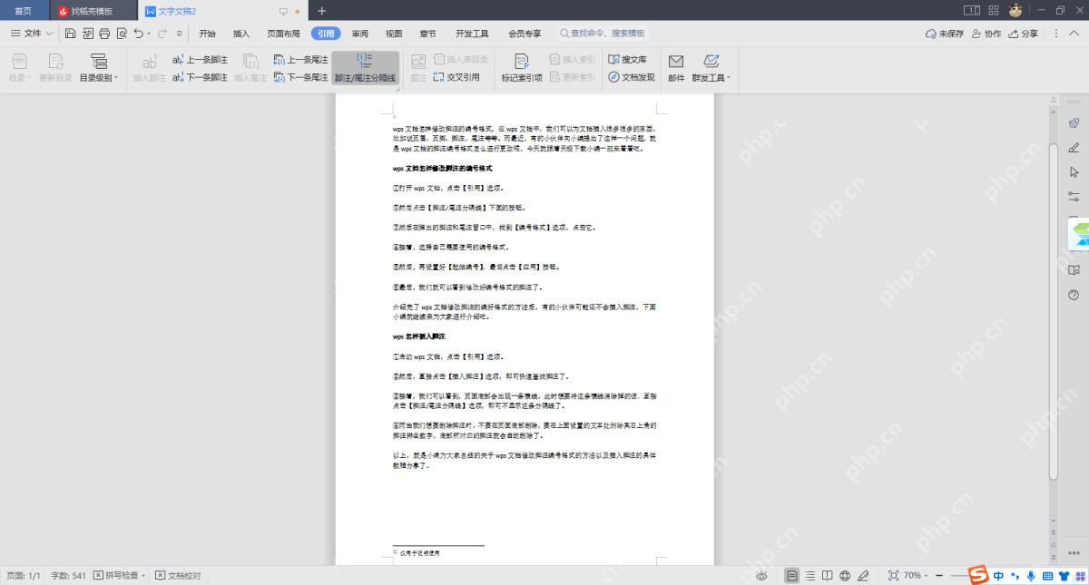 Word 脚注区域结果用于核对脚注空白和编号显示