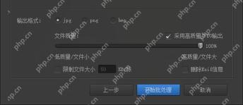 输出设置页开始批处理生成JPG