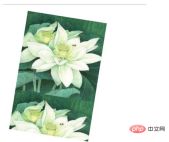 1618277325838209.png CSS로 사진을 회전하는 방법