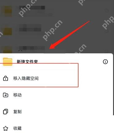 百度网盘更多操作里的移入隐藏空间选项