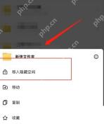 百度网盘更多操作里的移入隐藏空间选项