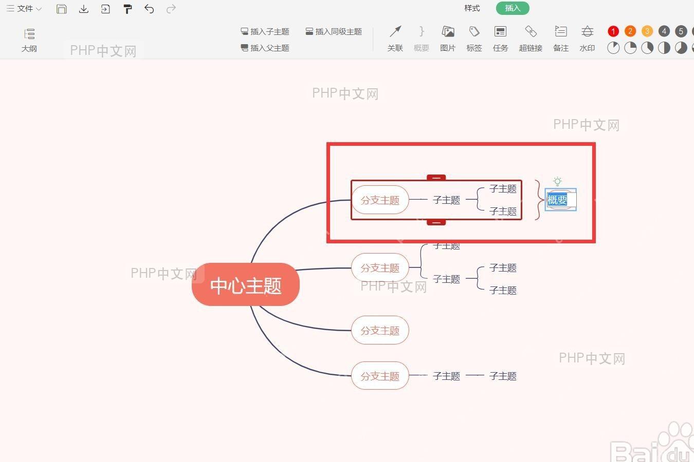 WPS 思维导图中已经插入概要并显示在分支右侧的结果图