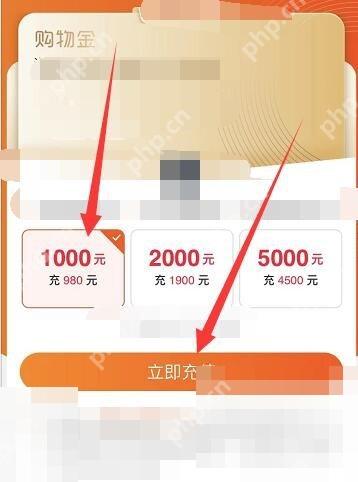 需要使用前，按页面选择面额后点“立即充值”。