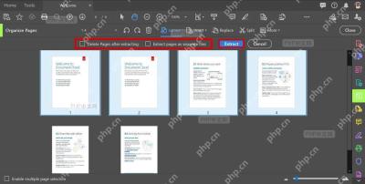 Adobe Acrobat 提取页面设置区中的 separate files 选项和 Extract 按钮