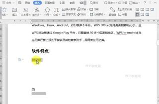 WPS如何重置文档窗体域?结果检查