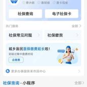 怎样用支付宝搜索框直达社保查询