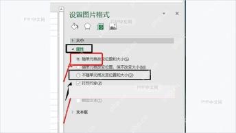Excel设置图片格式属性中选择随单元格改变位置和大小
