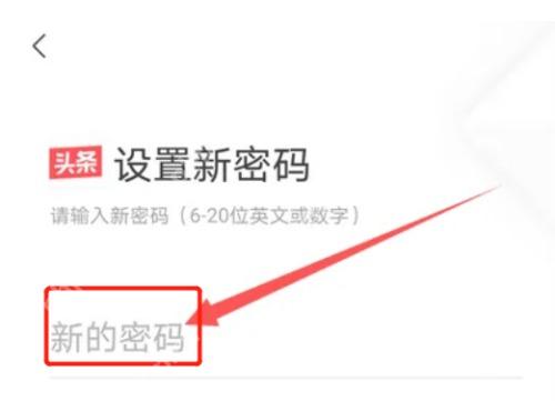 今日头条设置新密码页面