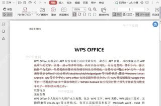 如何设置PDF文档中删除线的颜色?入口位置